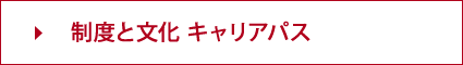 制度と文化 キャリアパス